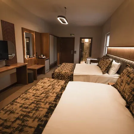 Hotel Oezkaya Sivas