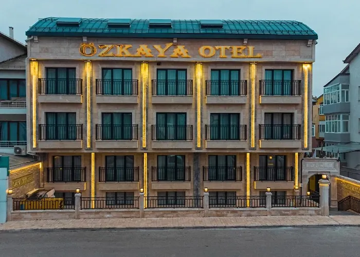 Oezkaya *